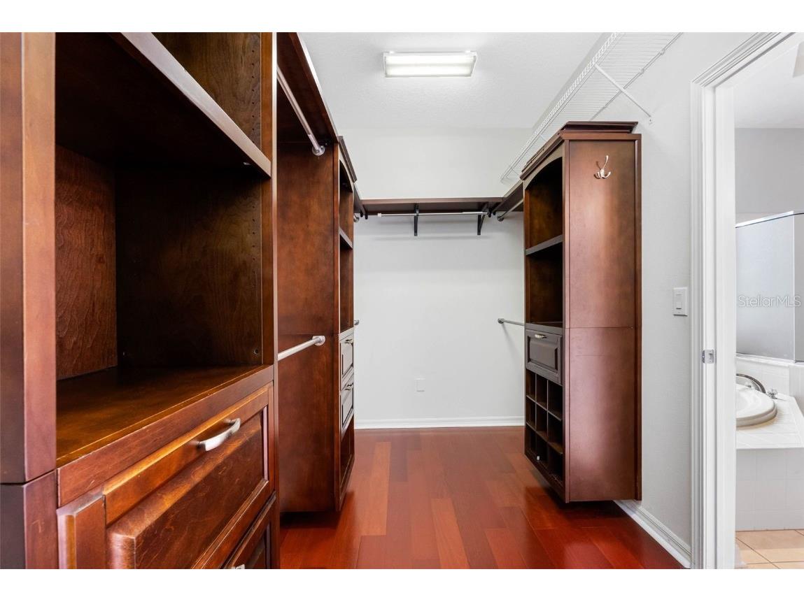 16522 Ivy Lake Drive Odessa FL 33556 TB8372325 image25