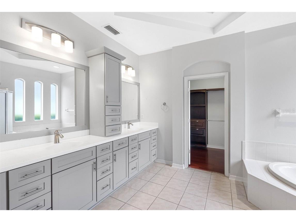 16522 Ivy Lake Drive Odessa FL 33556 TB8372325 image26