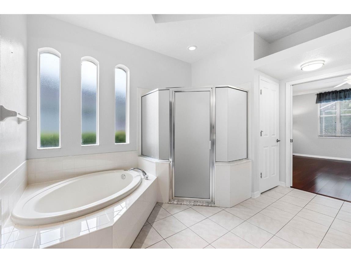 16522 Ivy Lake Drive Odessa FL 33556 TB8372325 image27