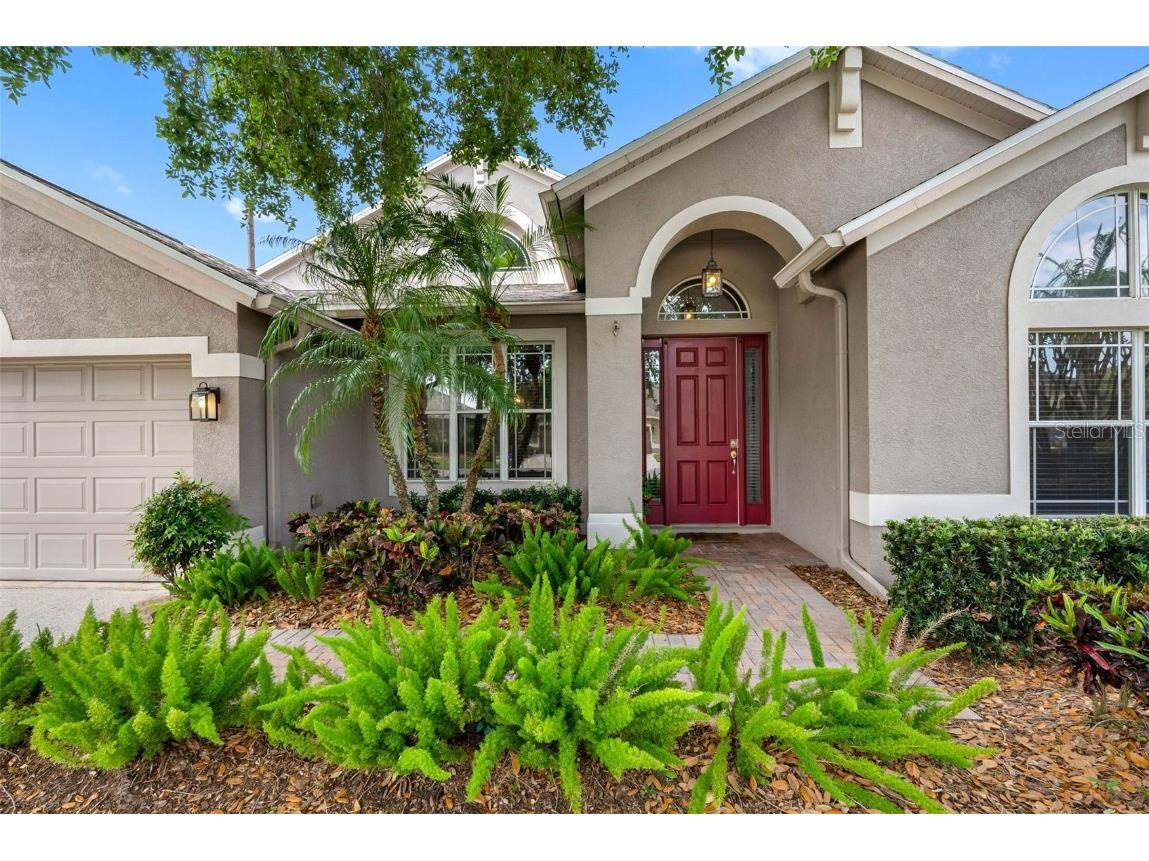 16522 Ivy Lake Drive Odessa FL 33556 TB8372325 image3