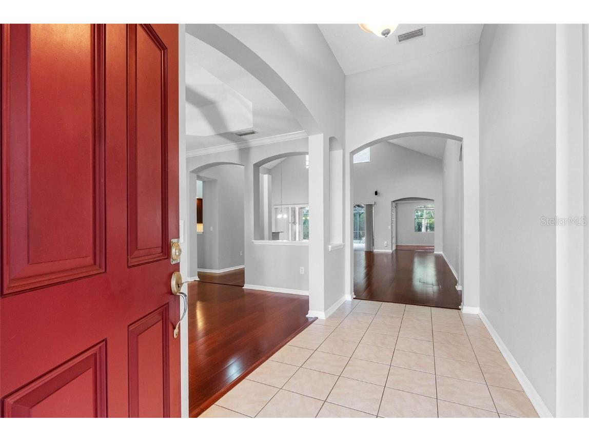 16522 Ivy Lake Drive Odessa FL 33556 TB8372325 image4