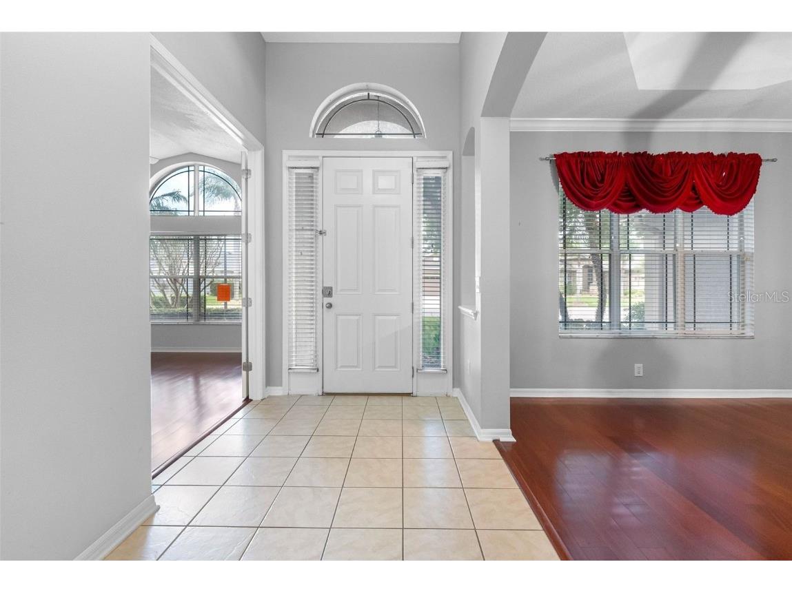 16522 Ivy Lake Drive Odessa FL 33556 TB8372325 image5