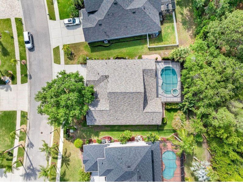 16522 Ivy Lake Drive Odessa FL 33556 TB8372325 image51