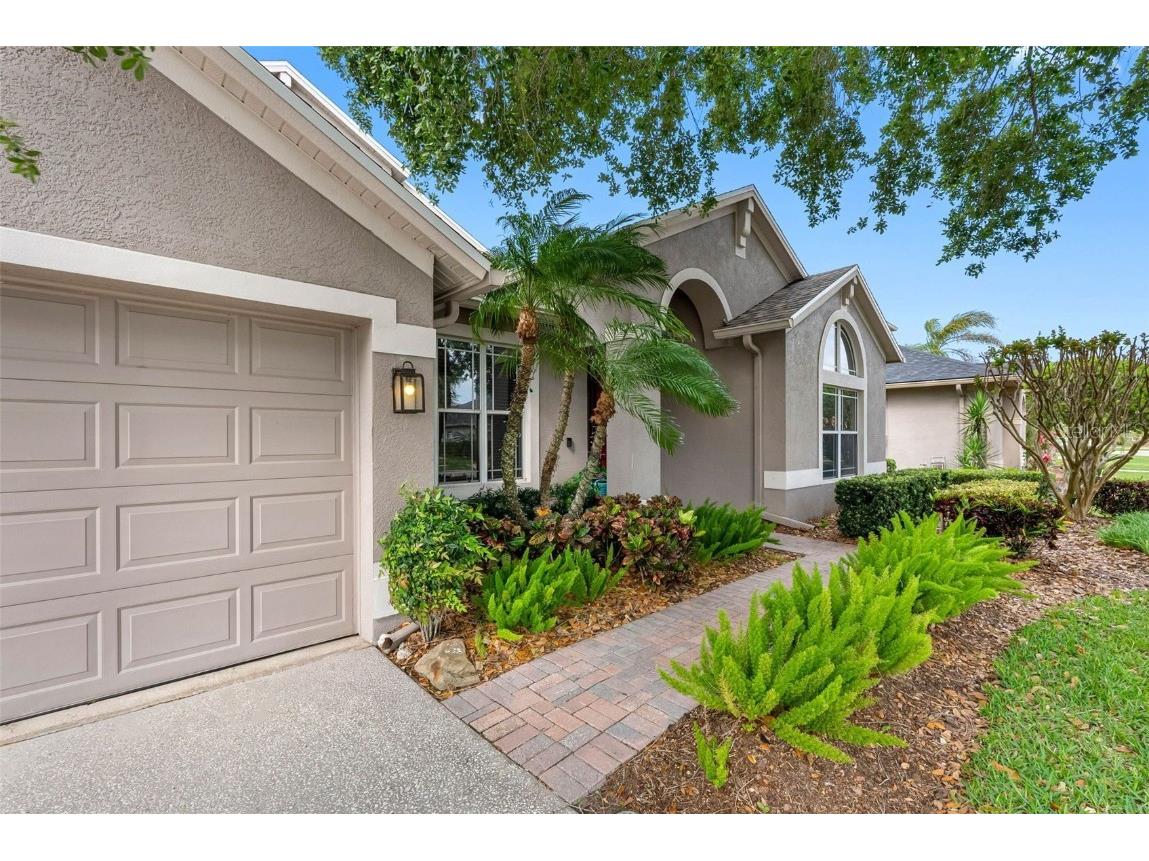 16522 Ivy Lake Drive Odessa FL 33556 TB8372325 image55