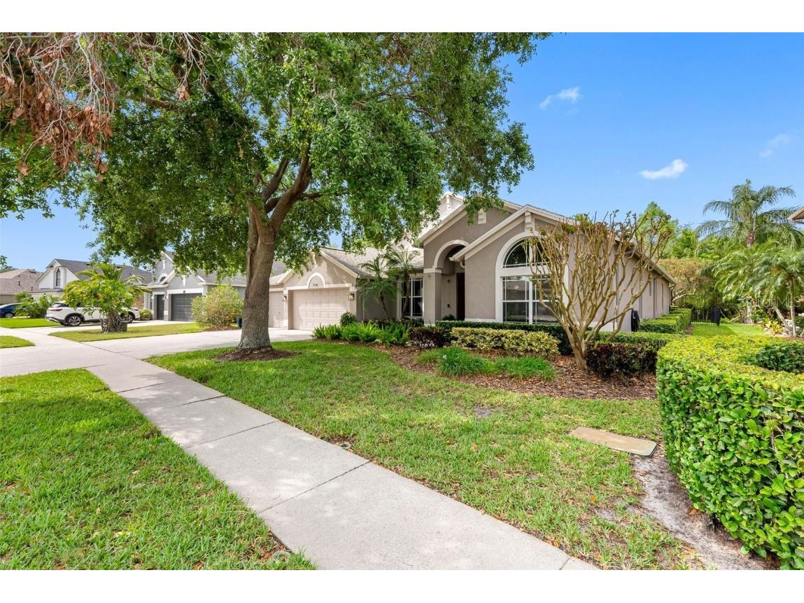 16522 Ivy Lake Drive Odessa FL 33556 TB8372325 image56