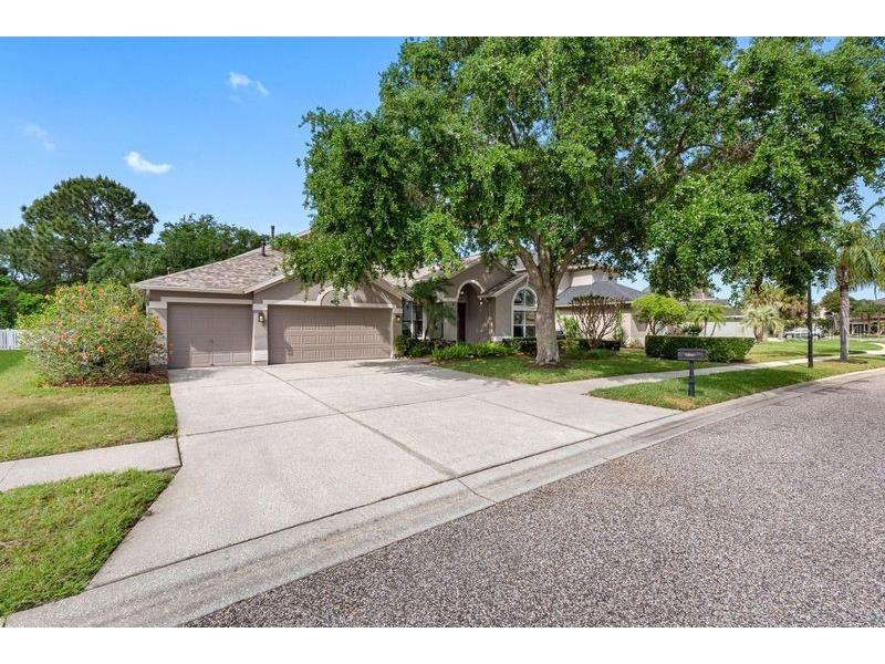 16522 Ivy Lake Drive Odessa FL 33556 TB8372325 image57