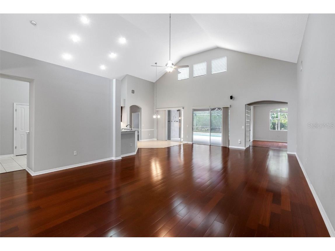 16522 Ivy Lake Drive Odessa FL 33556 TB8372325 image6