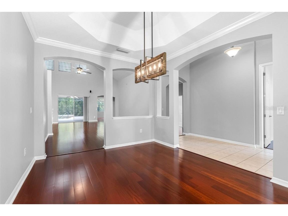 16522 Ivy Lake Drive Odessa FL 33556 TB8372325 image8