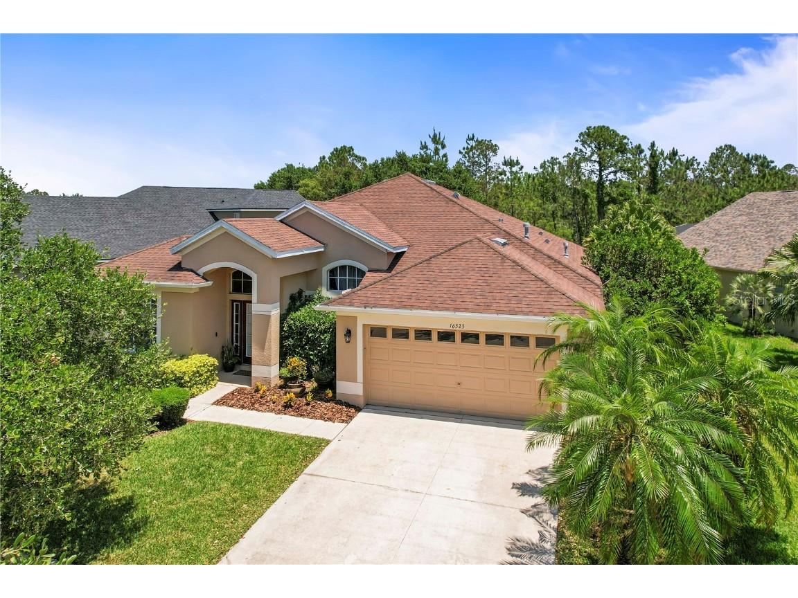 16523 Bridgewalk Drive Lithia FL 33547 T3443939 image1