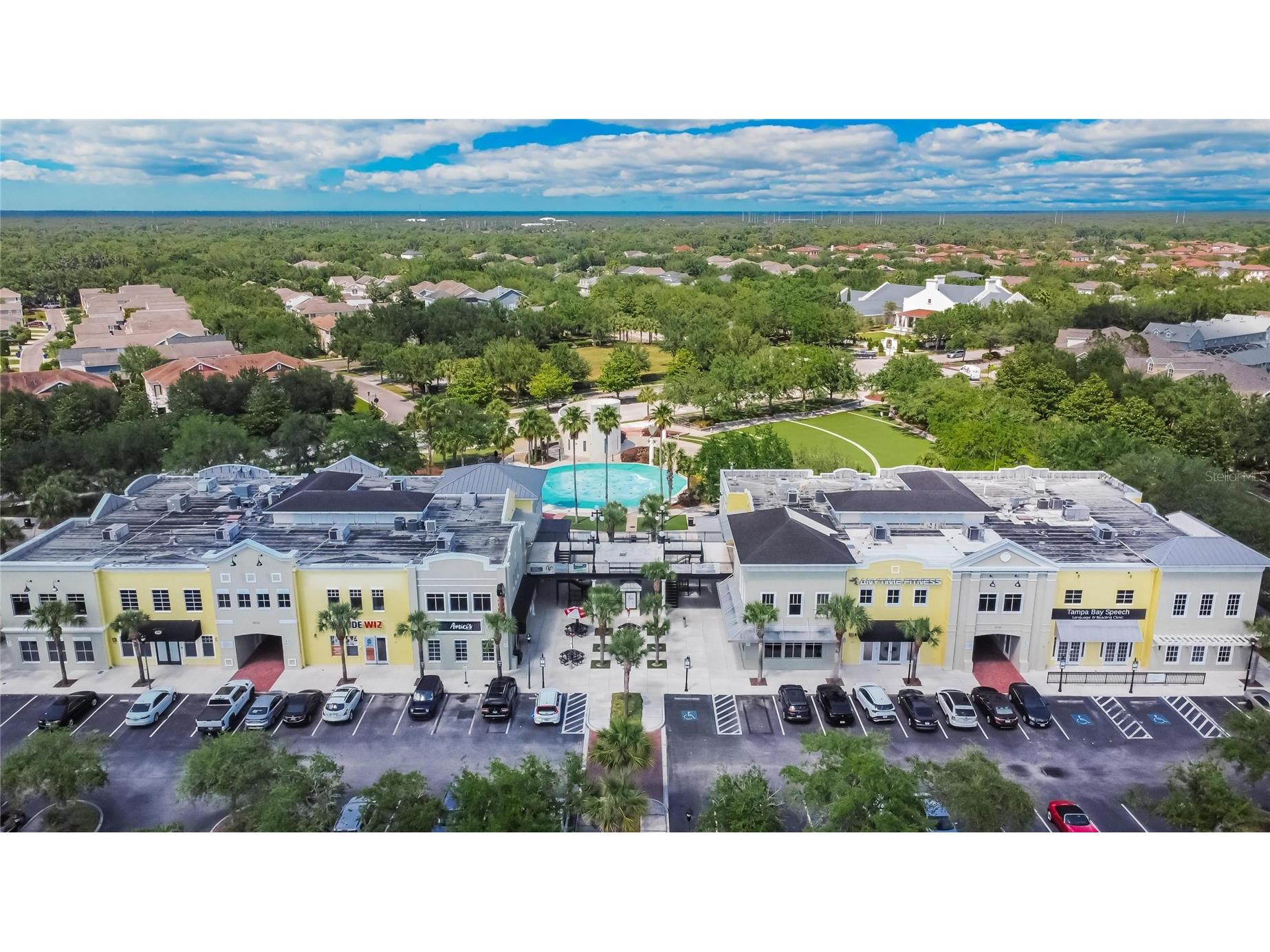 16525 Bridgewalk Drive Lithia FL 33547 TB8513238 image63