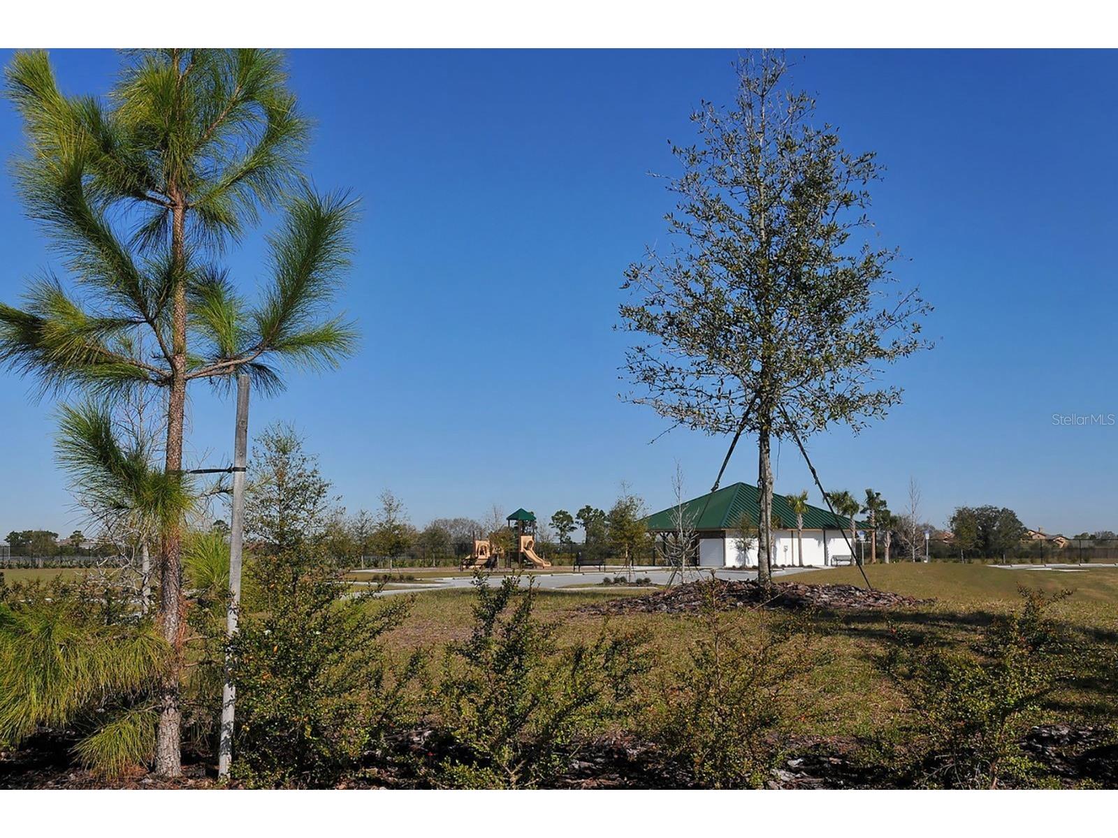16525 Hillside Circle Lakewood Ranch FL 34202 A4699636 image61