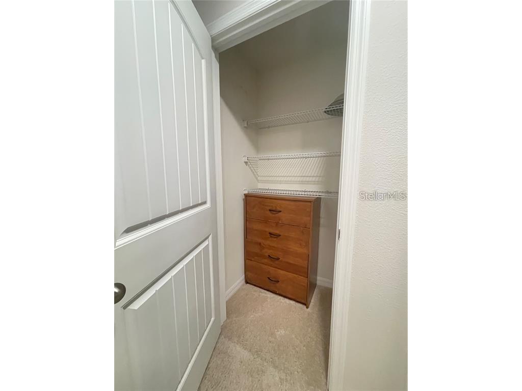 16525 Outter Grove Alley Winter Garden FL 34787 O6421516 image15