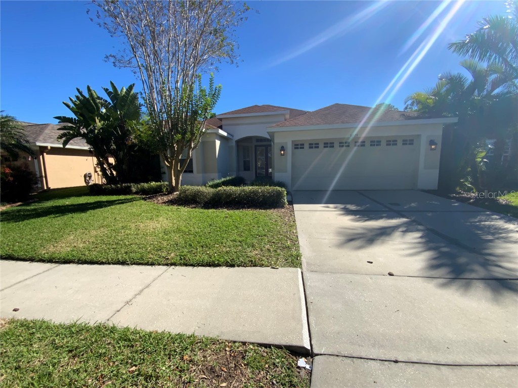 16529 Bridgewalk Drive Lithia FL 33547 T3492303 image1