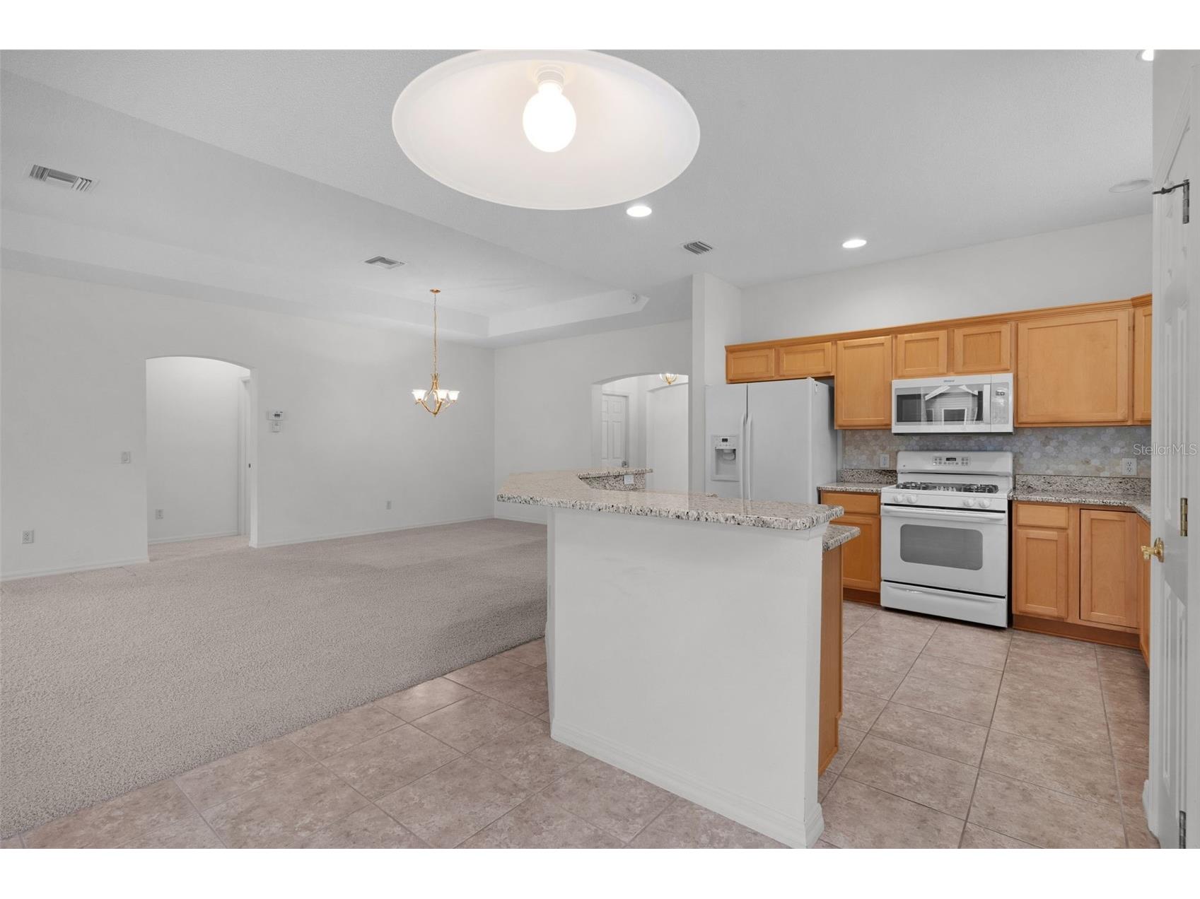 1653 Homer Avenue The Villages FL 32162 G5107110 image10