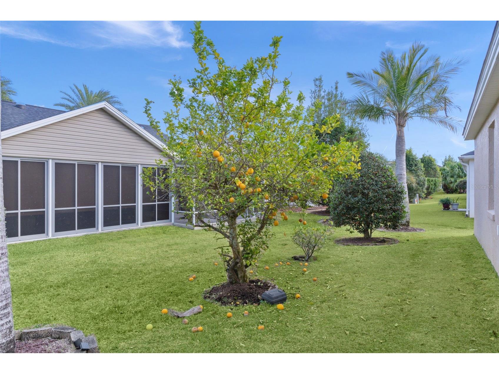 1653 Homer Avenue The Villages FL 32162 G5107110 image28