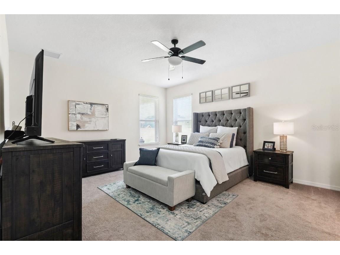 1653 Nature View Drive Lutz FL 33558 TB8414454 image19