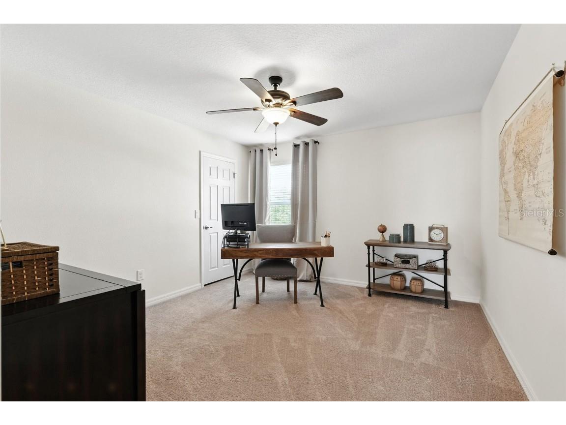 1653 Nature View Drive Lutz FL 33558 TB8414454 image24