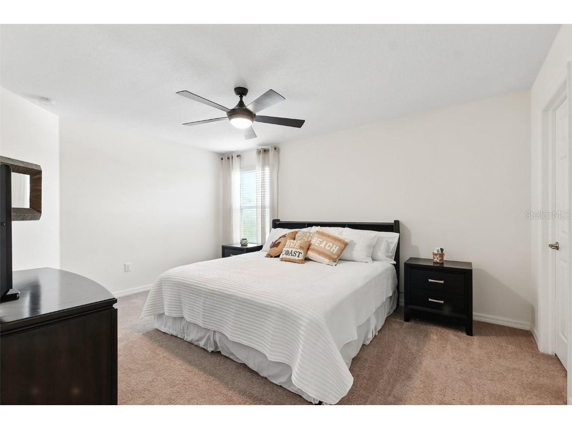 1653 Nature View Drive Lutz FL 33558 TB8414454 image26