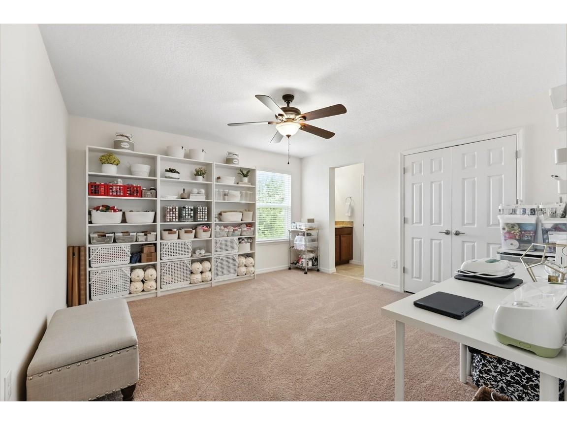 1653 Nature View Drive Lutz FL 33558 TB8414454 image27