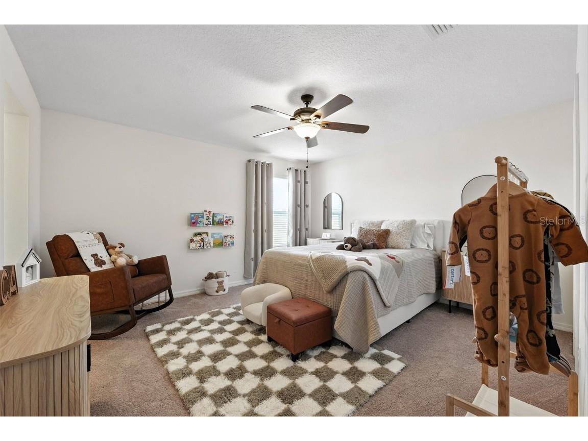 1653 Nature View Drive Lutz FL 33558 TB8414454 image28