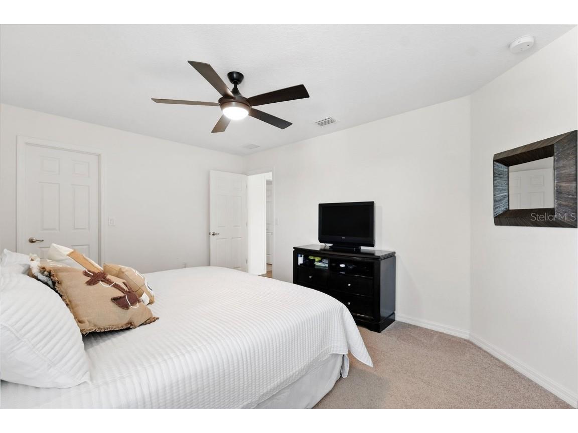 1653 Nature View Drive Lutz FL 33558 TB8414454 image33