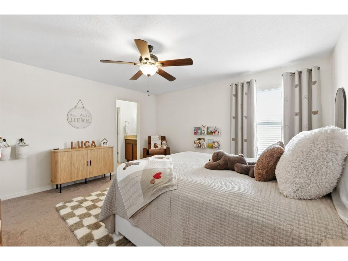 1653 Nature View Drive Lutz FL 33558 TB8414454 image35