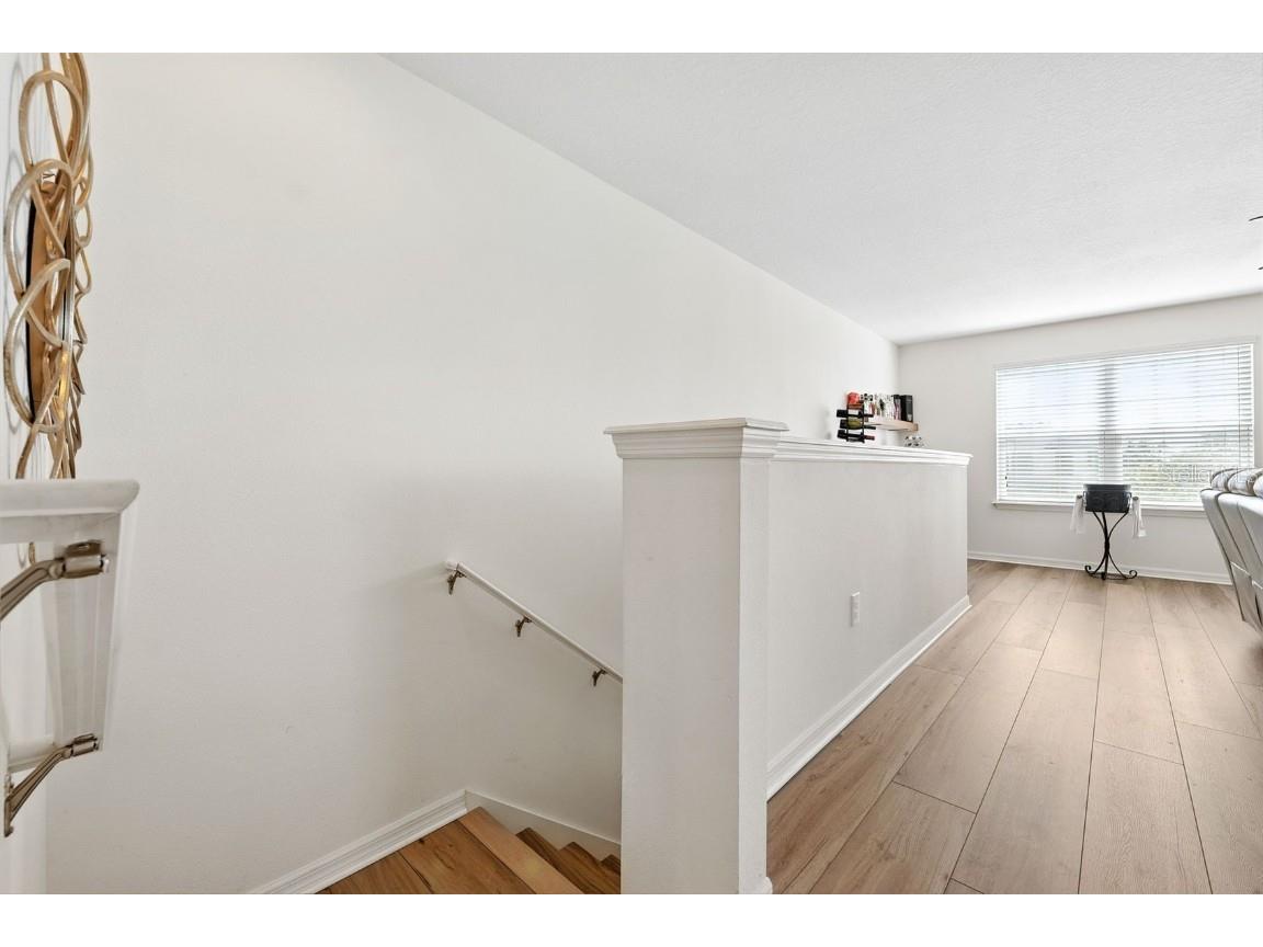 1653 Nature View Drive Lutz FL 33558 TB8414454 image36