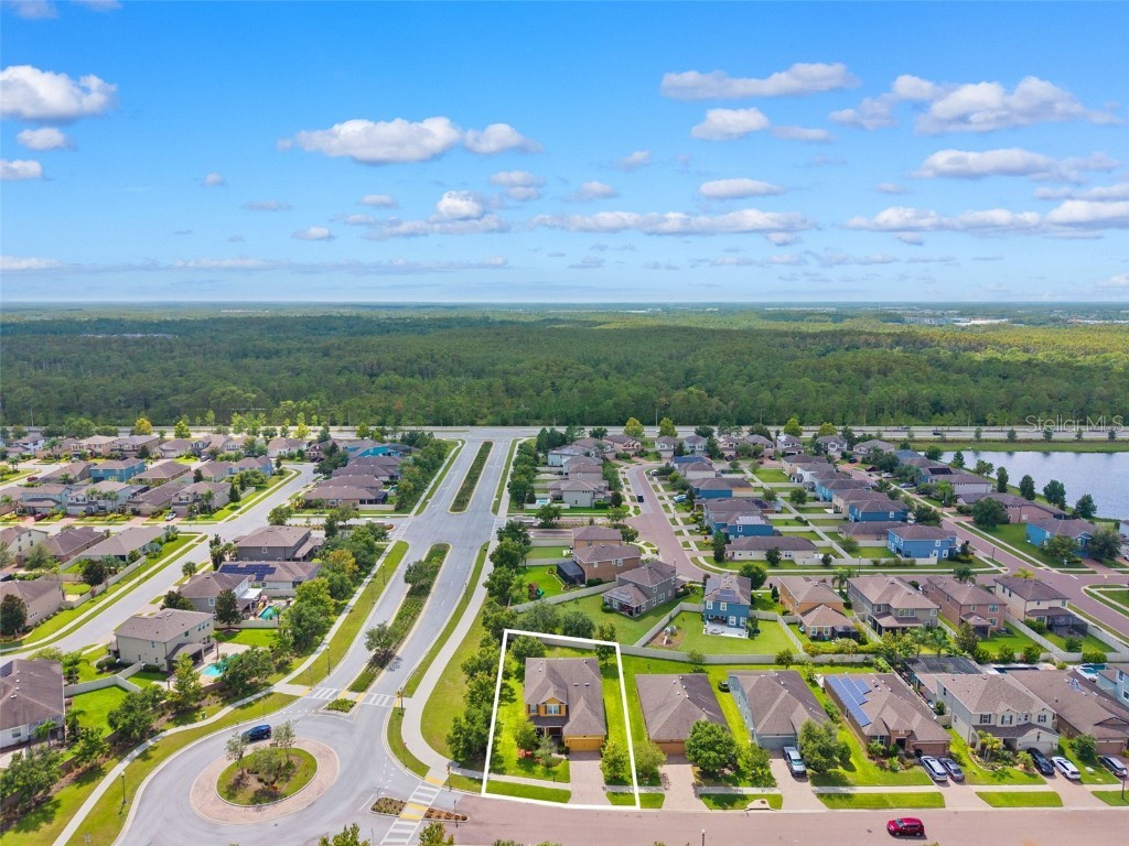 1653 Nature View Drive Lutz FL 33558 TB8414454 image52