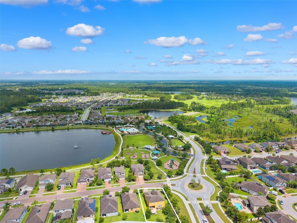 1653 Nature View Drive Lutz FL 33558 TB8414454 image53