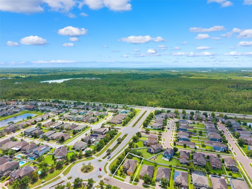 1653 Nature View Drive Lutz FL 33558 TB8414454 image55