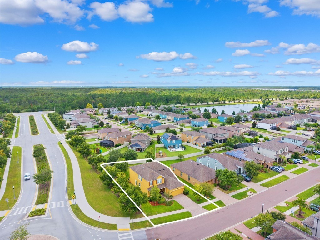 1653 Nature View Drive Lutz FL 33558 TB8414454 image57