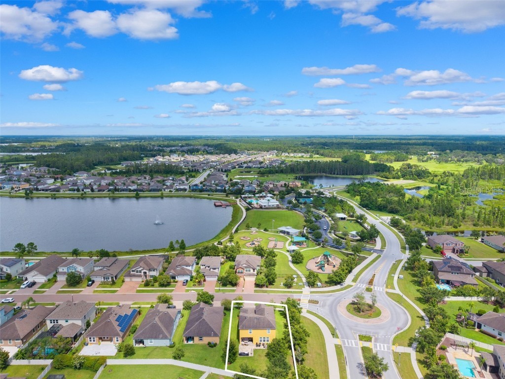 1653 Nature View Drive Lutz FL 33558 TB8414454 image59