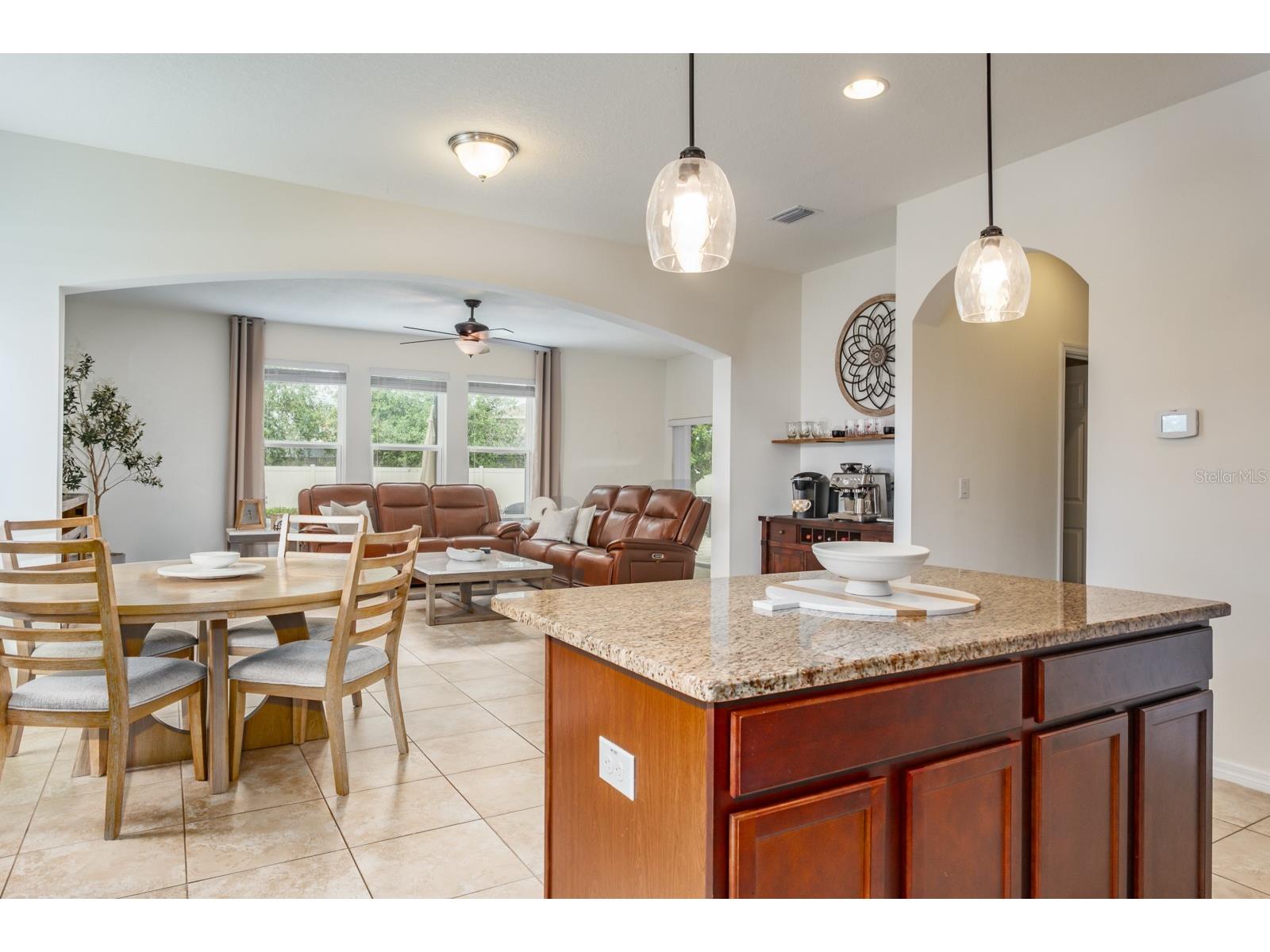 1653 Nature View Drive Lutz FL 33558 TB8495373 image22