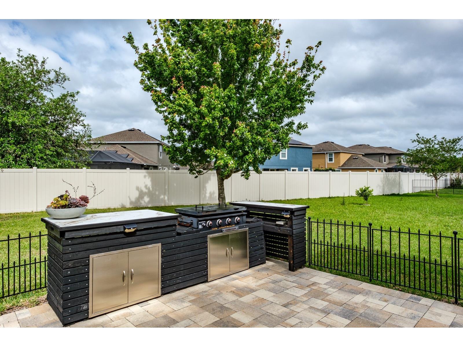 1653 Nature View Drive Lutz FL 33558 TB8495373 image35