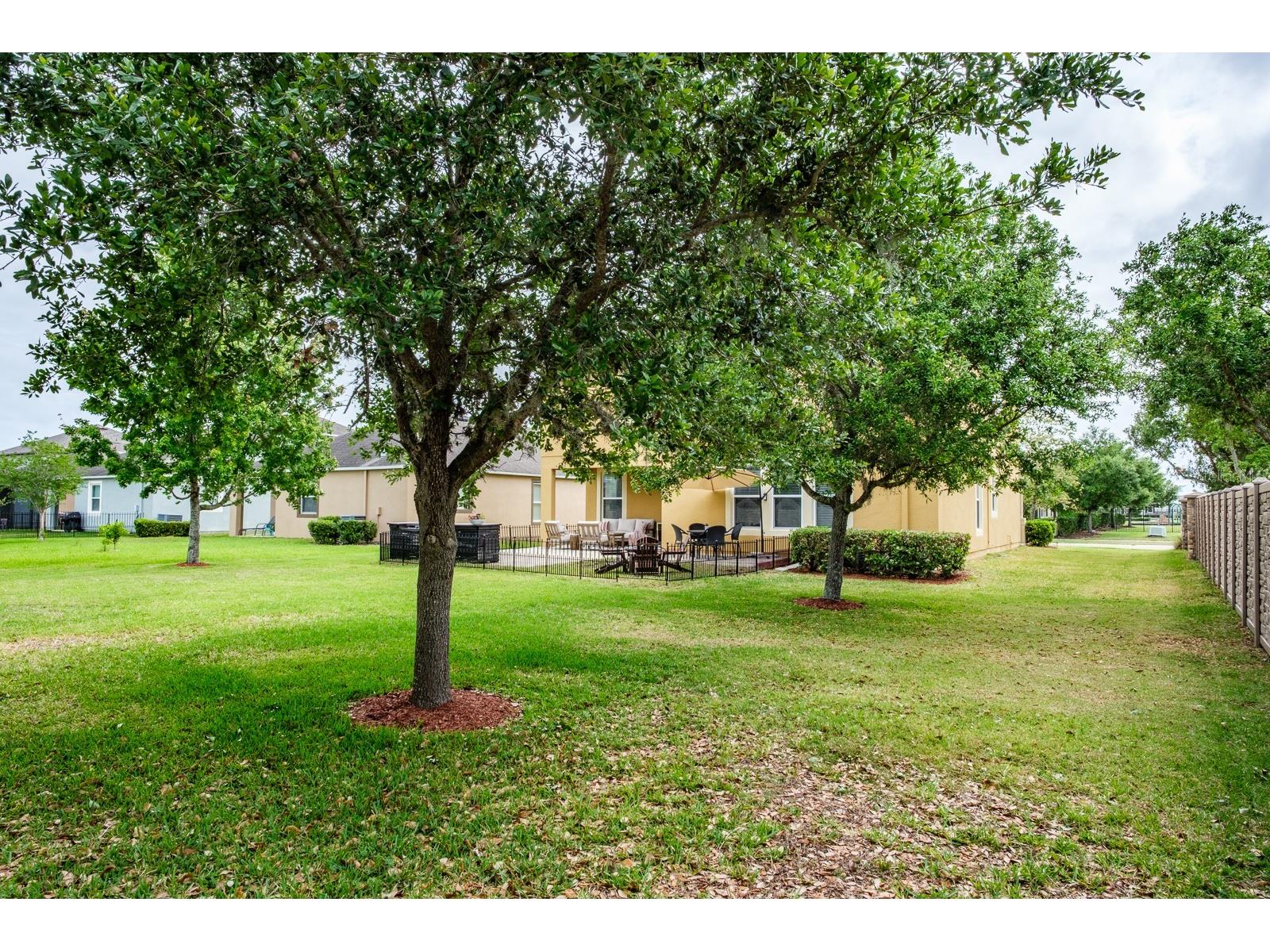 1653 Nature View Drive Lutz FL 33558 TB8495373 image37