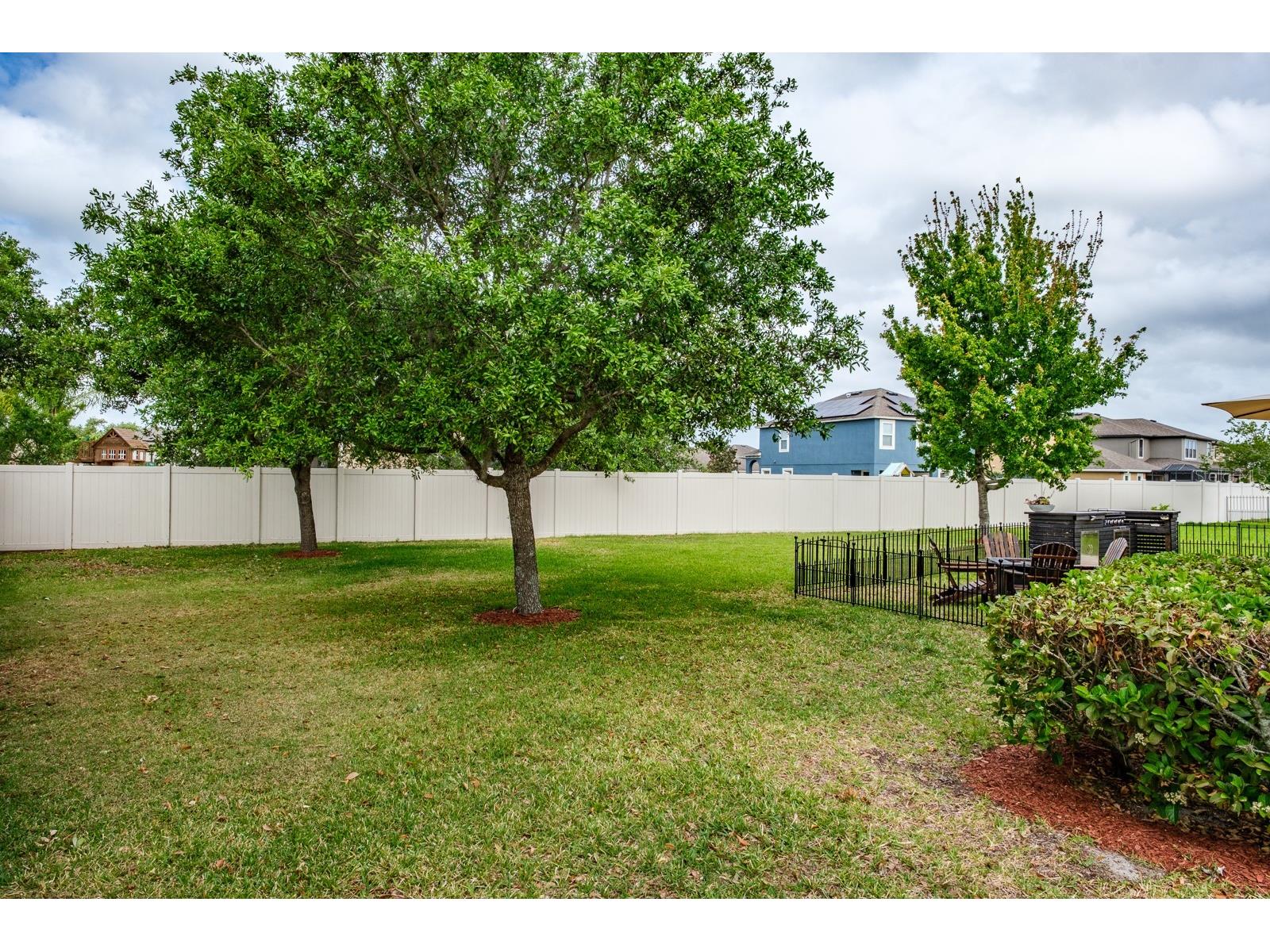 1653 Nature View Drive Lutz FL 33558 TB8495373 image39