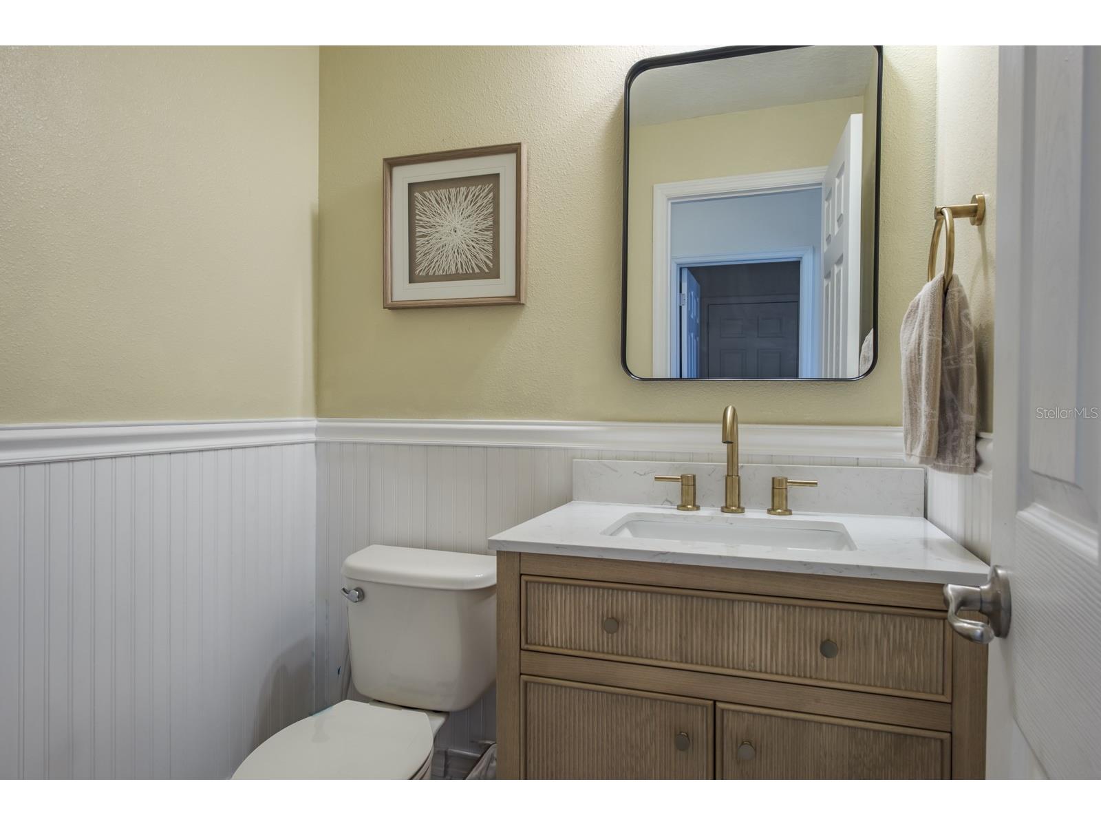 1653 Nature View Drive Lutz FL 33558 TB8495373 image40