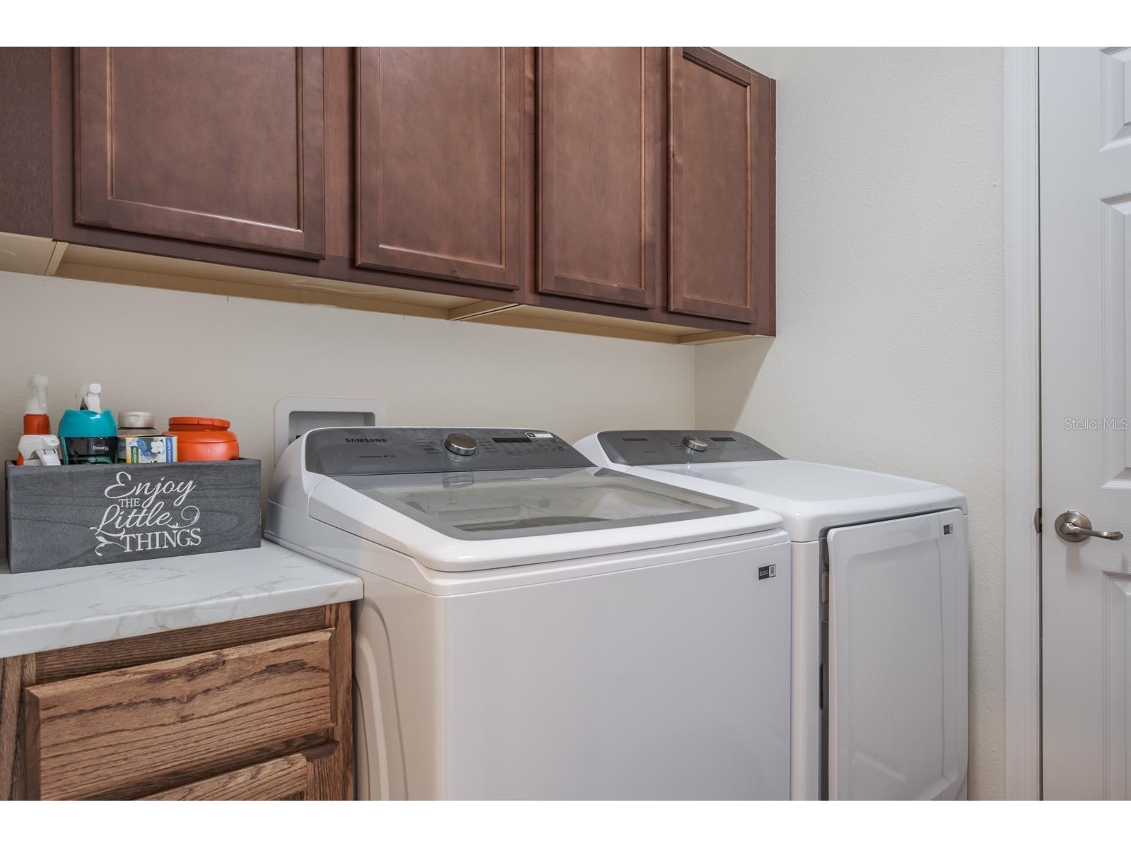 1653 Nature View Drive Lutz FL 33558 TB8495373 image41