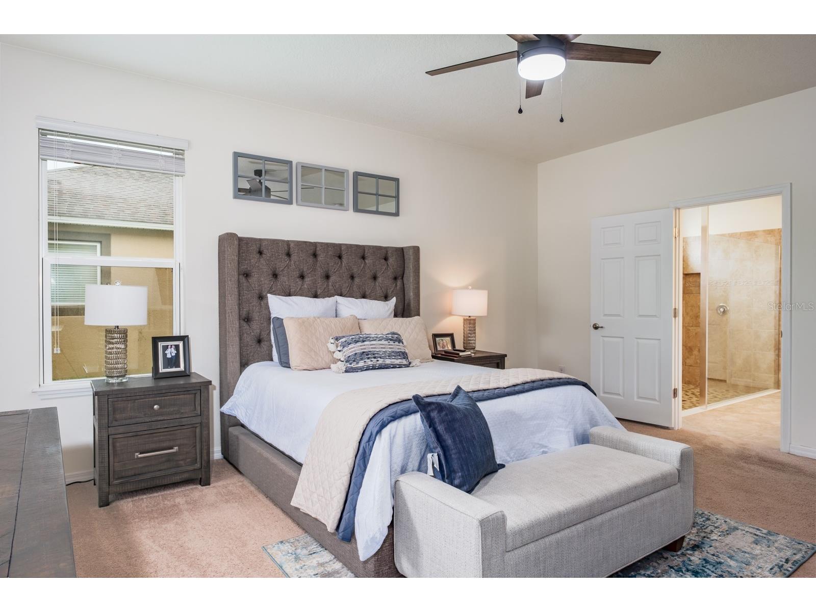 1653 Nature View Drive Lutz FL 33558 TB8495373 image43