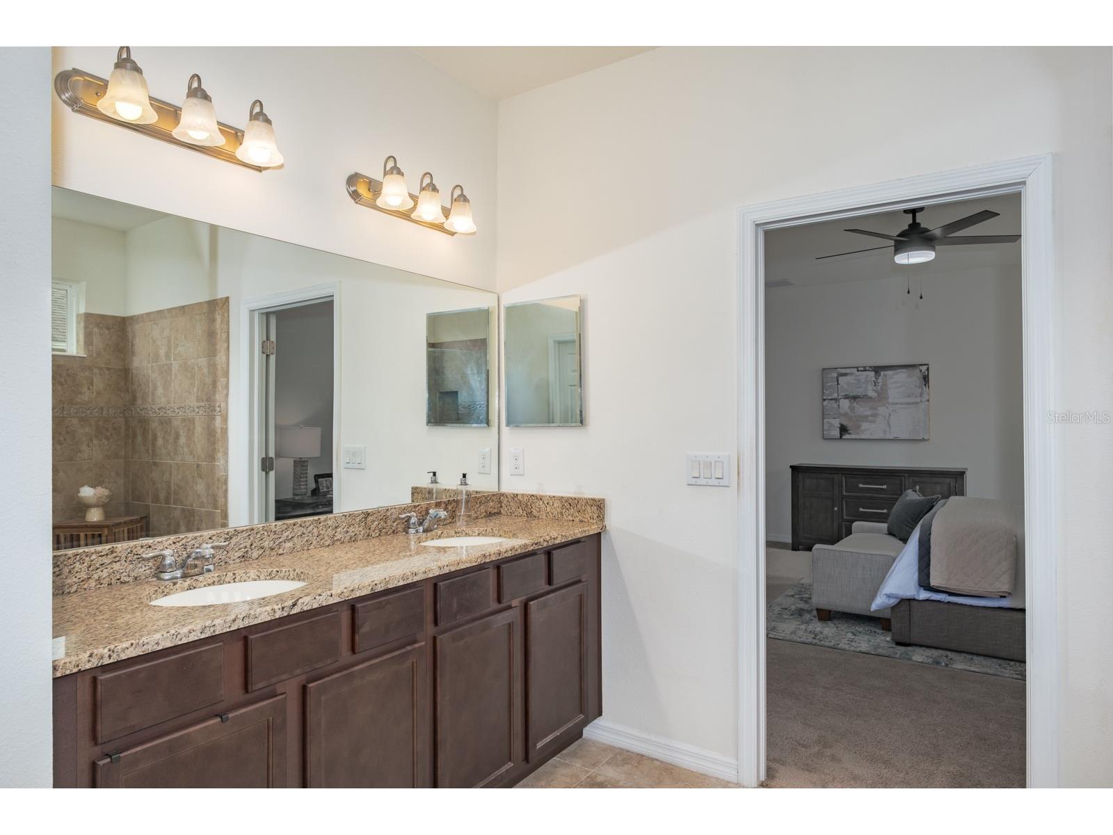 1653 Nature View Drive Lutz FL 33558 TB8495373 image45