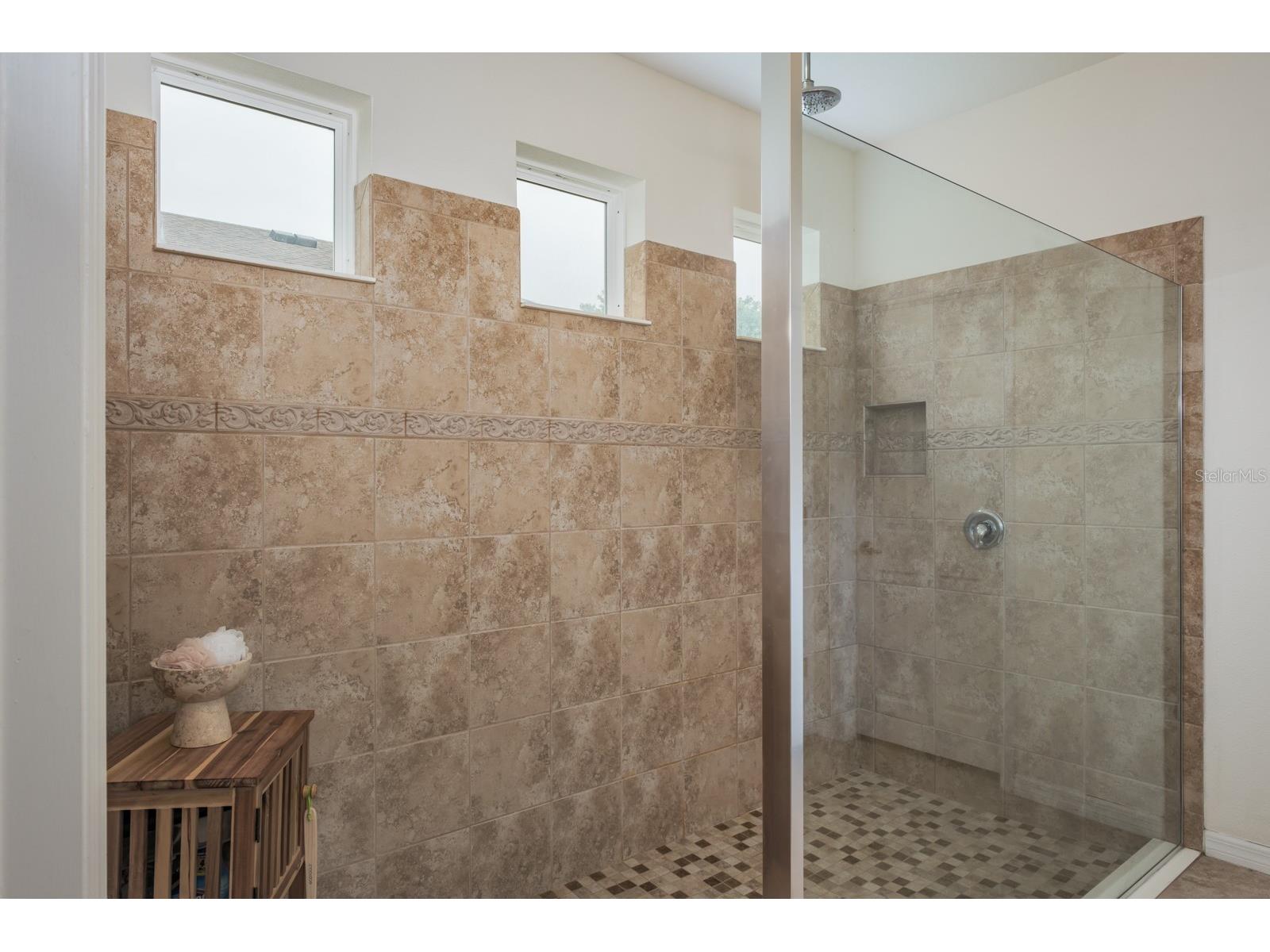 1653 Nature View Drive Lutz FL 33558 TB8495373 image47