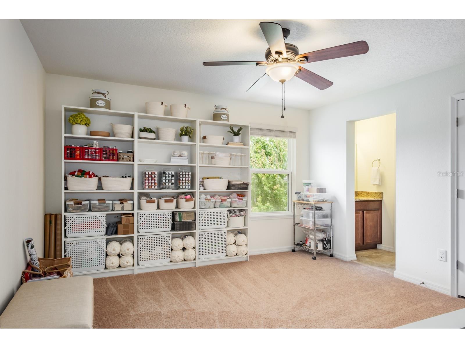 1653 Nature View Drive Lutz FL 33558 TB8495373 image60