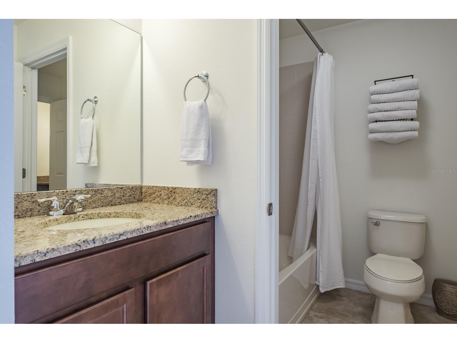 1653 Nature View Drive Lutz FL 33558 TB8495373 image63