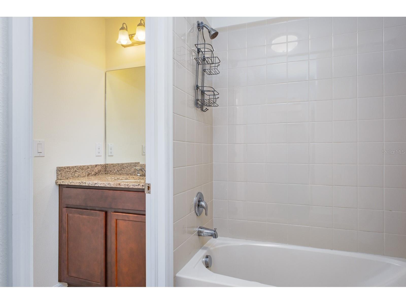 1653 Nature View Drive Lutz FL 33558 TB8495373 image64