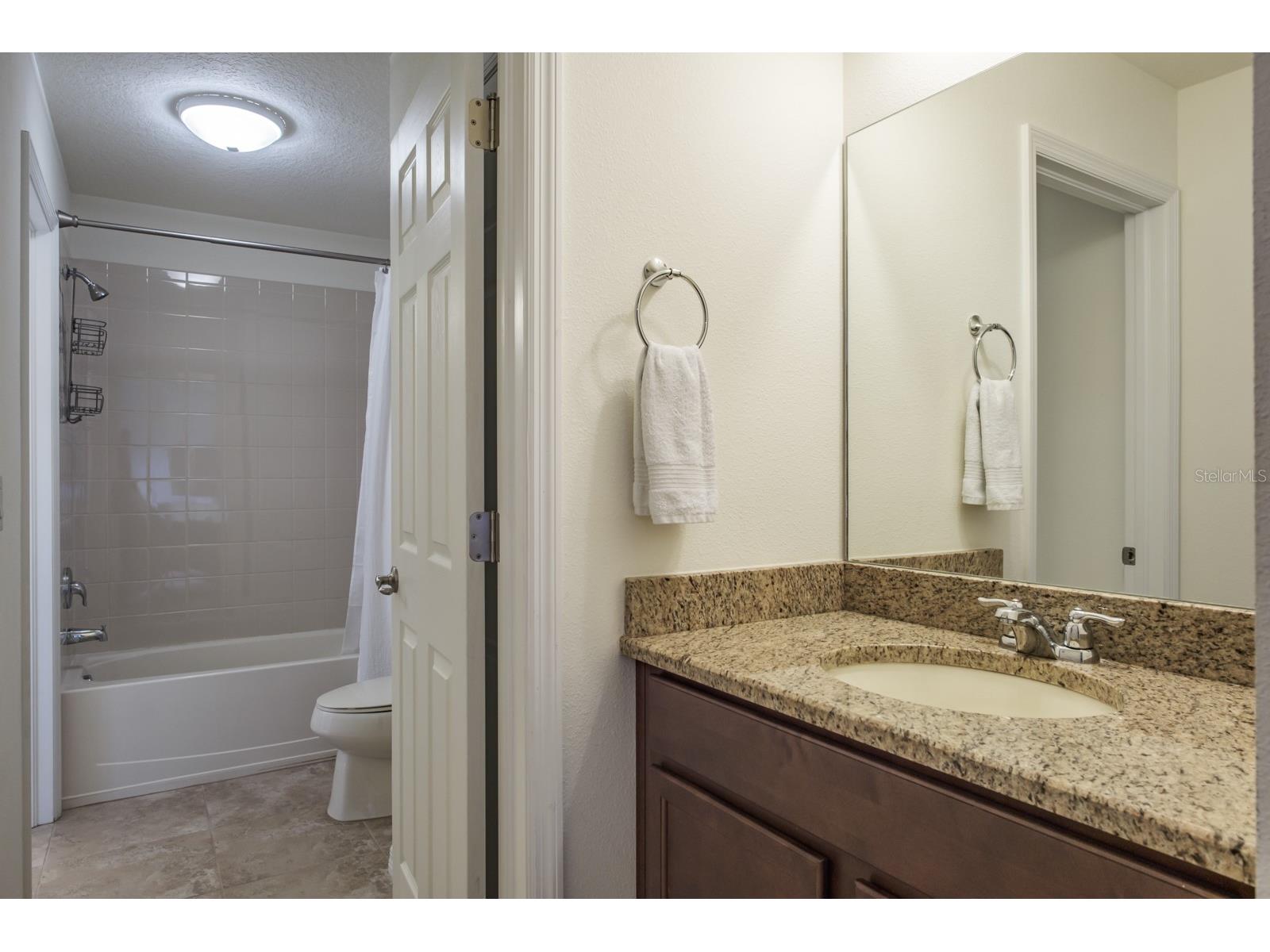 1653 Nature View Drive Lutz FL 33558 TB8495373 image65