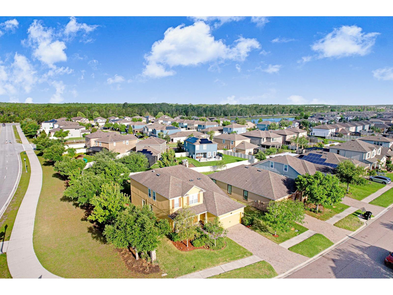 1653 Nature View Drive Lutz FL 33558 TB8495373 image78