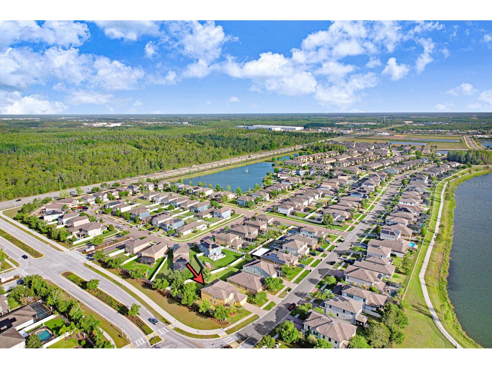 1653 Nature View Drive Lutz FL 33558 TB8495373 image80