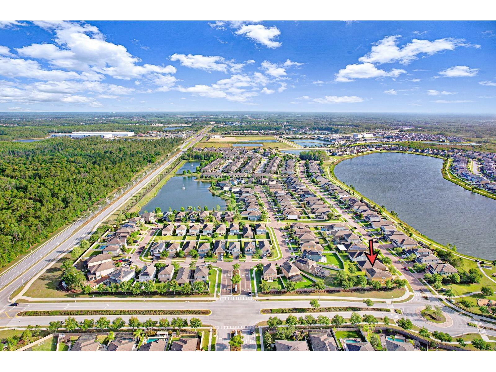 1653 Nature View Drive Lutz FL 33558 TB8495373 image81