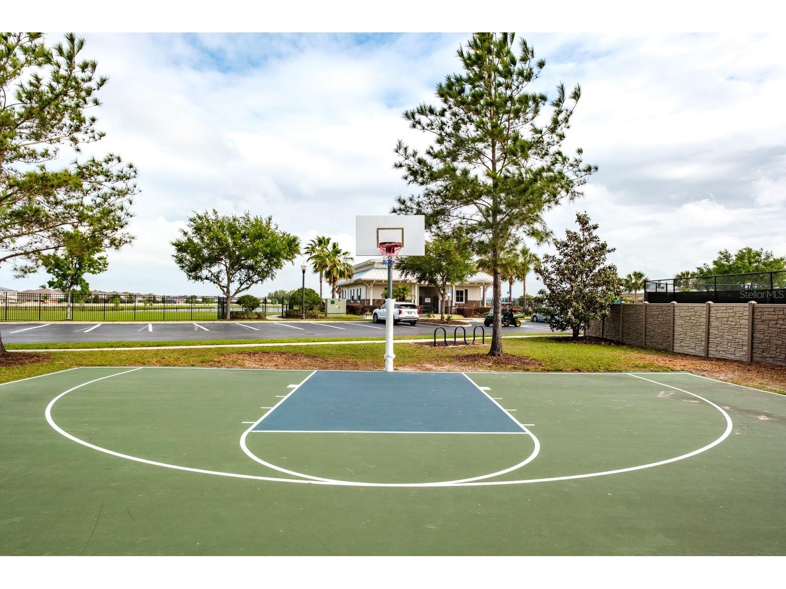 1653 Nature View Drive Lutz FL 33558 TB8495373 image87