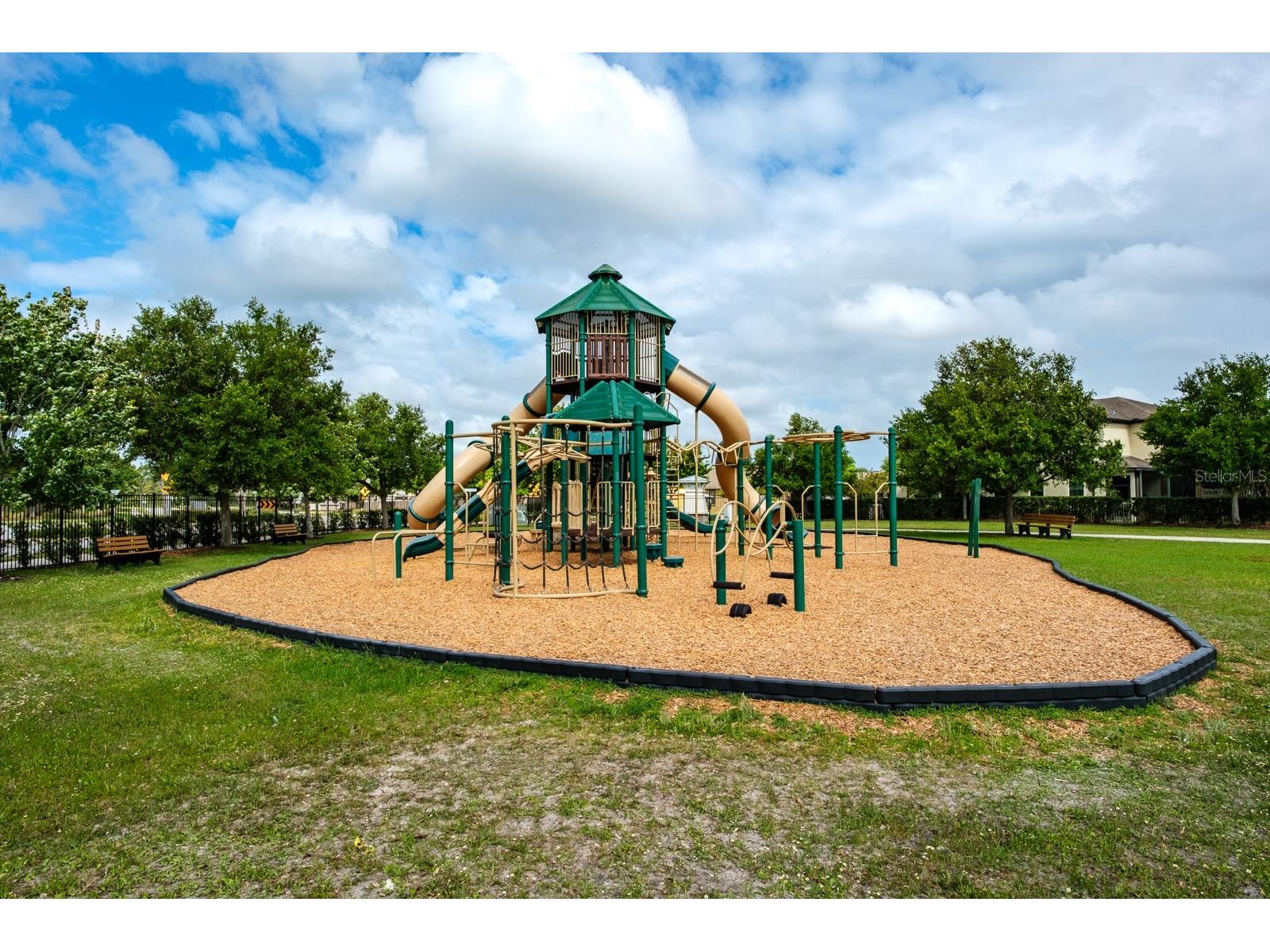 1653 Nature View Drive Lutz FL 33558 TB8495373 image91